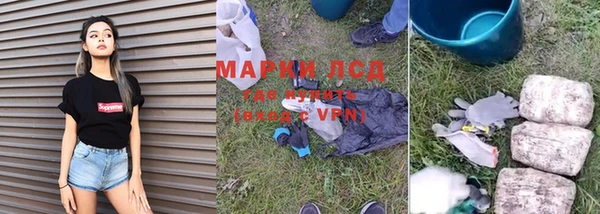 стафф Абинск