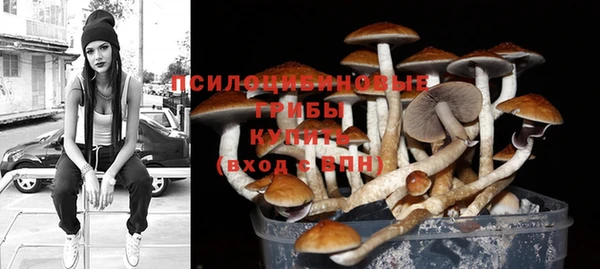 гашик Абаза