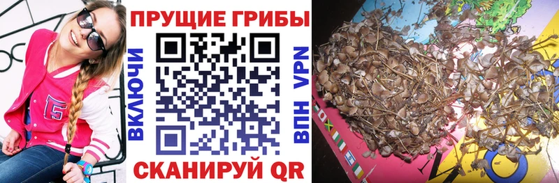 где купить наркоту  Советская Гавань  дарк нет Telegram  Галлюциногенные грибы ЛСД 
