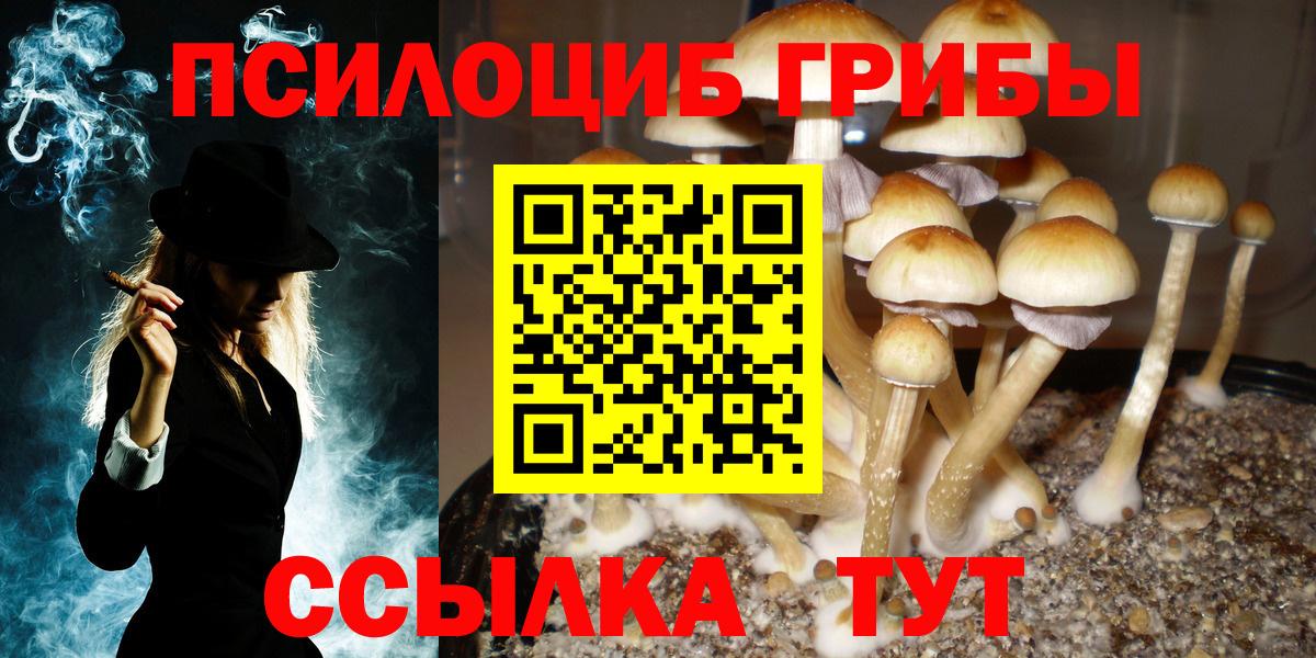 Советская Гавань  Псилоцибиновые грибы Magic Shrooms  Вход с VPN 